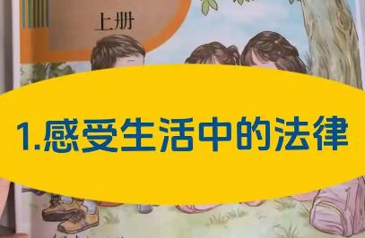 感受生活中的法律教学设计 六年级道法教学设计