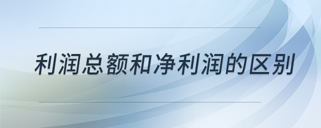 利润总额和净利润的区别