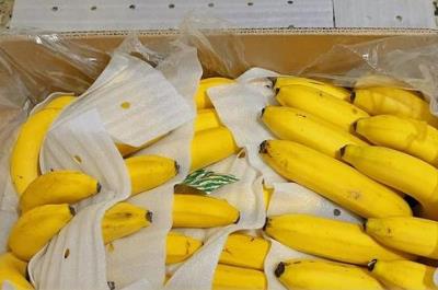香蕉咋保存时间长/香蕉怎么保鲜存放时间长些