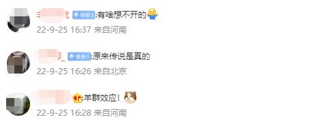 辉县近百只山羊,接连跳崖...... 辉县近百只山羊,接连跳崖......