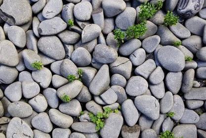 梦见灰色/免费周公解梦大全查询原版