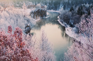 2025年犯太岁的生肖表现_2025年犯太岁的生肖化解建议