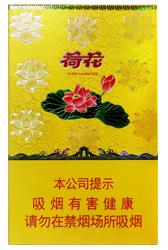 钻石（金一品荷花）