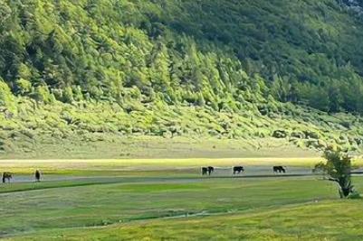 肿眼泡可以做埋线双眼皮吗?