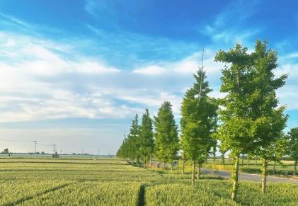 同房时达到5到6次高潮是否正常