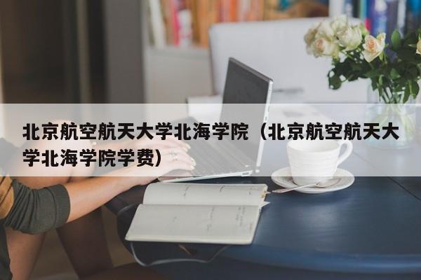 北京航空航天大学北海学院（北京航空航天大学北海学院学费）-第1张图片-秀米网（xiumi360.com）