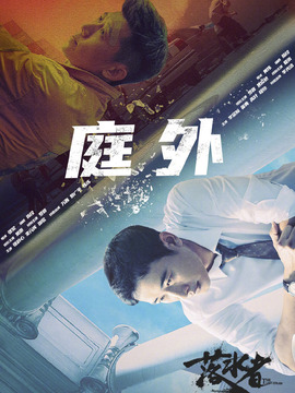 电视剧庭外剧情介绍_《庭外》大结局剧情介绍（共20集）