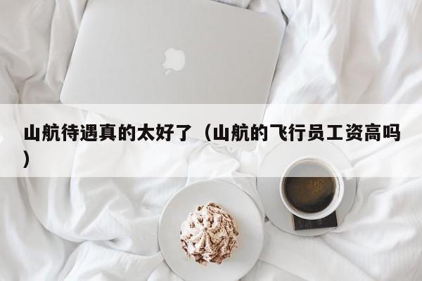 山航待遇真的太好了（山航的飞行员工资高吗）-第1张图片-秀米网（xiumi360.com）