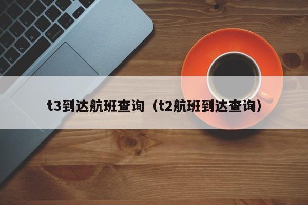 t3到达航班查询（t2航班到达查询）-第1张图片-秀米网（xiumi360.com）
