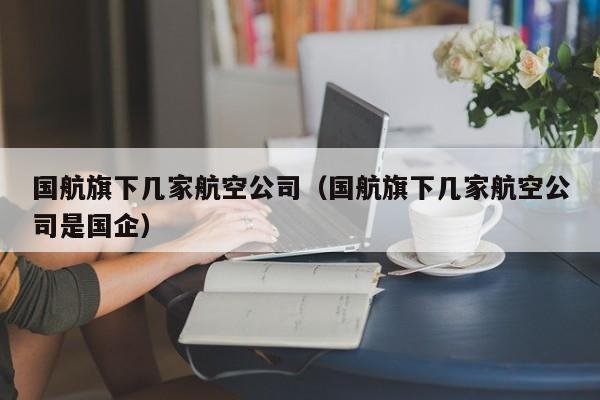 国航旗下几家航空公司（国航旗下几家航空公司是国企）-第1张图片-秀米网（xiumi360.com）