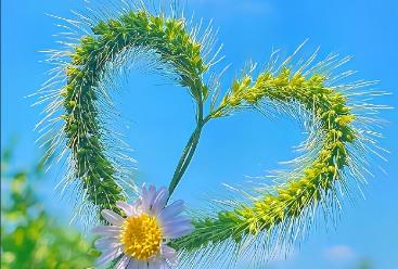 小儿哮喘患者治疗后能吃什么/（小儿哮喘能吃什么食物）