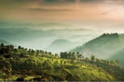 心理健康用英语翻译/心理健康英文怎么写单词的