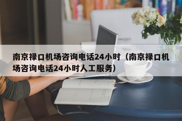 南京禄口机场咨询电话24小时（南京禄口机场咨询电话24小时人工服务）-第1张图片-秀米网（xiumi360.com）