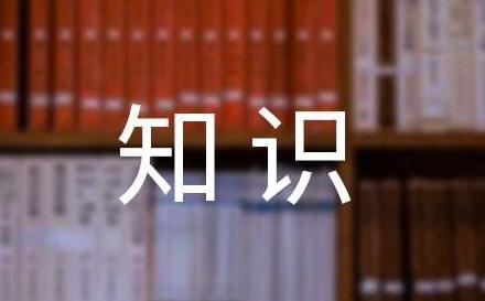 知识竞赛工作总结怎么写