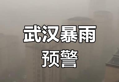 武汉狂风暴雨今天注意安全事项有哪些