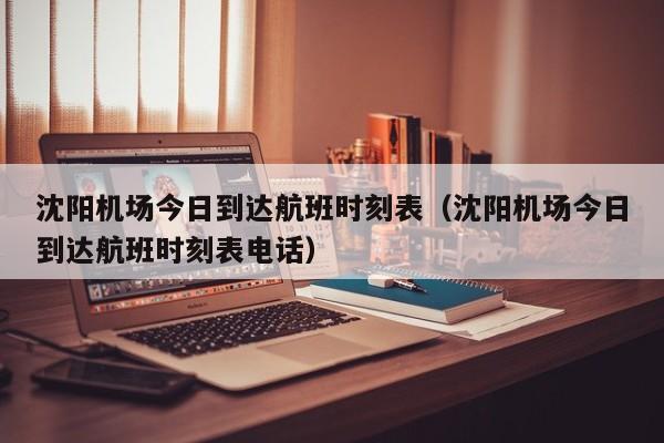 沈阳机场今日到达航班时刻表（沈阳机场今日到达航班时刻表电话）-第1张图片-秀米网（xiumi360.com）