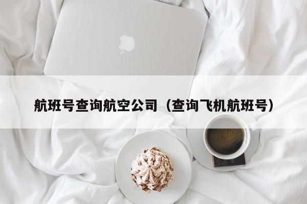 航班号查询航空公司（查询飞机航班号）-第1张图片-秀米网（xiumi360.com）