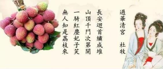 一骑红尘妃子笑无人知是荔枝来什么意思