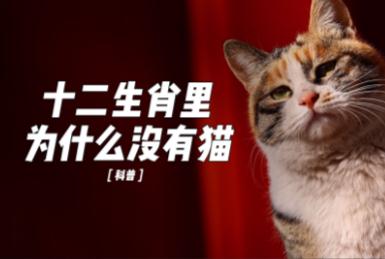 十二生肖为什么没有猫/中国12生肖为什么没有猫