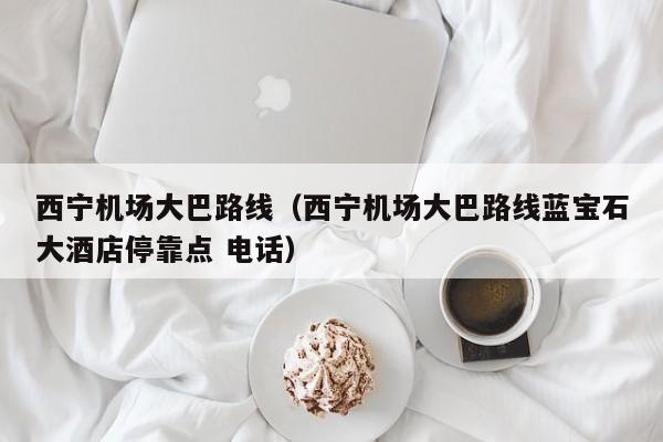 西宁机场大巴路线（西宁机场大巴路线蓝宝石大酒店停靠点 电话）-第1张图片-秀米网（xiumi360.com）