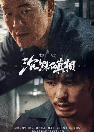 沉默的真相剧情介绍免费观看_沉默的真相分集剧情_(第12集)剧情介绍