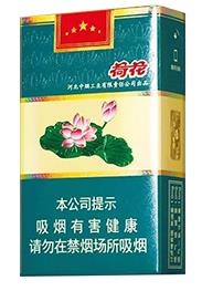 钻石（软荷花）