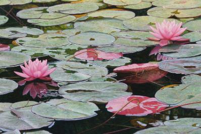 代代相传英语/代代相传英语怎么说pass on吗