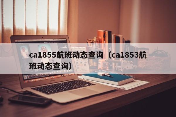 ca1855航班动态查询（ca1853航班动态查询）-第1张图片-秀米网（xiumi360.com）