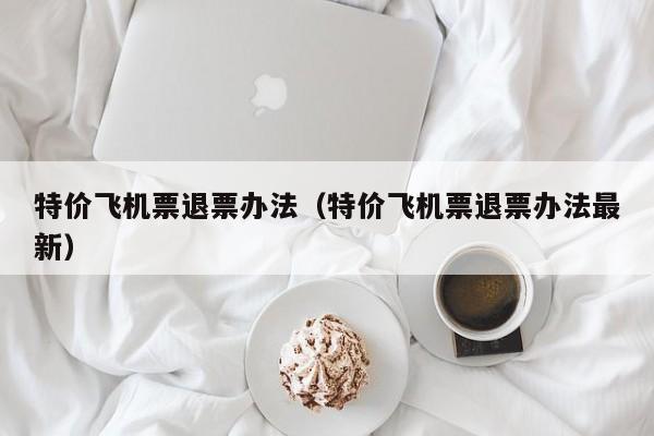 特价飞机票退票办法（特价飞机票退票办法最新）-第1张图片-秀米网（xiumi360.com）