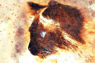 魂飞魄散造句_用魂飞魄散造句