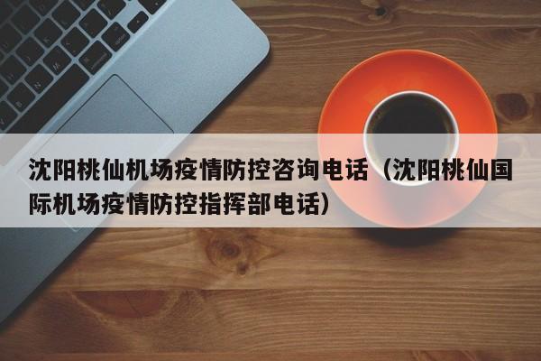 沈阳桃仙机场疫情防控咨询电话（沈阳桃仙国际机场疫情防控指挥部电话）-第1张图片-秀米网（xiumi360.com）