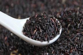 哺乳期能吃<a href=http://www.xiumi360.com/lvyou/5022.html target=_blank class=infotextkey>墨米</a>吗?