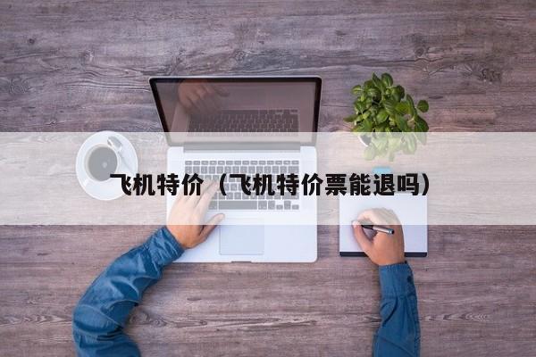 飞机特价（飞机特价票能退吗）-第1张图片-秀米网（xiumi360.com）