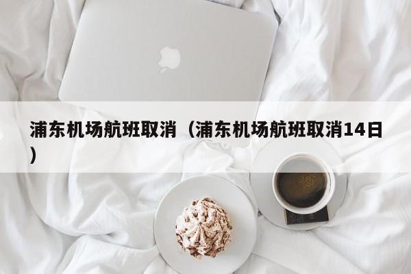浦东机场航班取消（浦东机场航班取消14日）-第1张图片-秀米网（xiumi360.com）