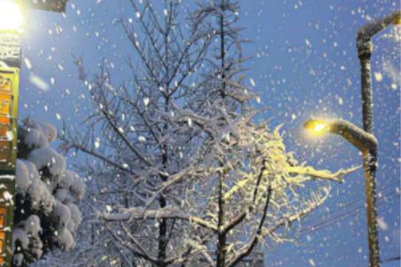 描写雪花的优美句子(精选80句)