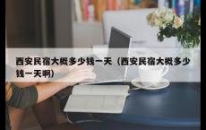 西安民宿大概多少钱一天（西安民宿大概多少钱一天啊）