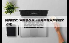 国内航空公司有多少家（国内共有多少家航空公司）