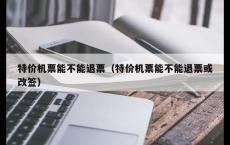 特价机票能不能退票（特价机票能不能退票或改签）