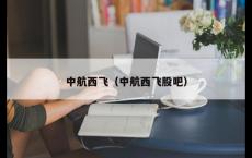 中航西飞（中航西飞股吧）