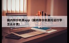 国内特价机票app（国内特价机票托运行李怎么计费）