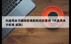 大连周水子国际机场航班动态查询（大连周水子机场 航班）