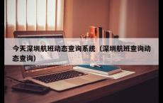 今天深圳航班动态查询系统（深圳航班查询动态查询）