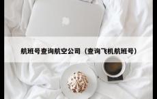 航班号查询航空公司（查询飞机航班号）