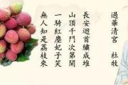 一骑红尘妃子笑无人知是荔枝来什么意思