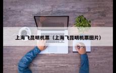 上海飞昆明机票（上海飞昆明机票图片）