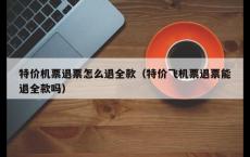 特价机票退票怎么退全款（特价飞机票退票能退全款吗）