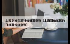 上海到哈尔滨特价机票查询（上海到哈尔滨的飞机票价格查询）