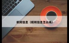 航班信息（航班信息怎么填）