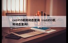 ca1855航班动态查询（ca1853航班动态查询）