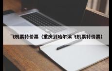 飞机票特价票（重庆到哈尔滨飞机票特价票）